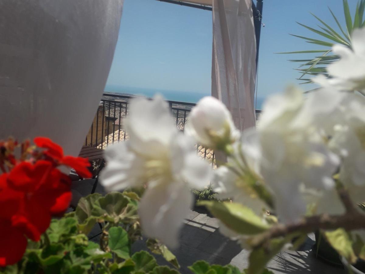 아그리젠토 Tesori Di Girgenti B&B 외부 사진